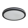Потолочный светильник Freya FR6160CL-L40B