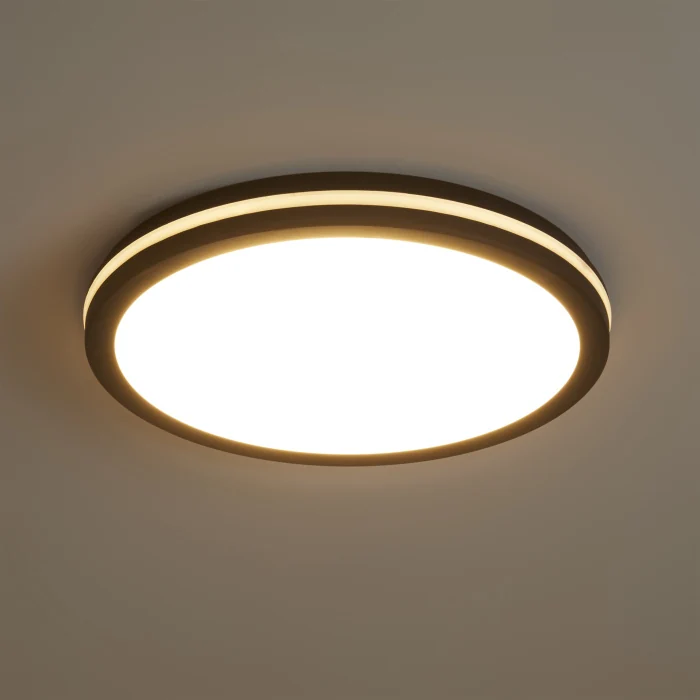 Потолочный светильник Freya FR6160CL-L40B