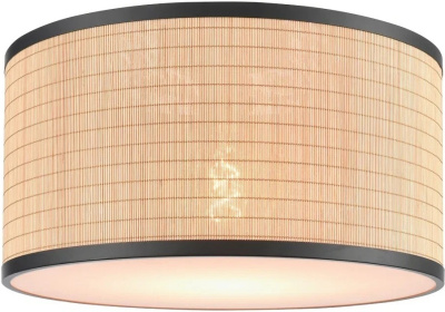 Потолочный светильник VELANTE 568-717-01