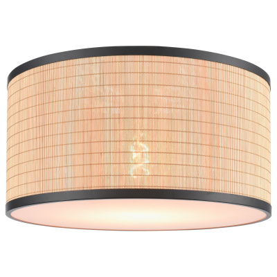 Потолочный светильник VELANTE 568-717-01