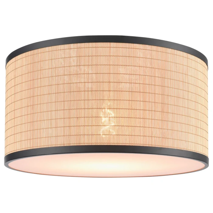 Потолочный светильник VELANTE 568-717-01