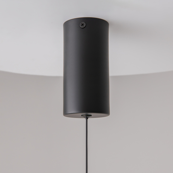 Подвесной светильник Maytoni Ray P022PL-L20B3K