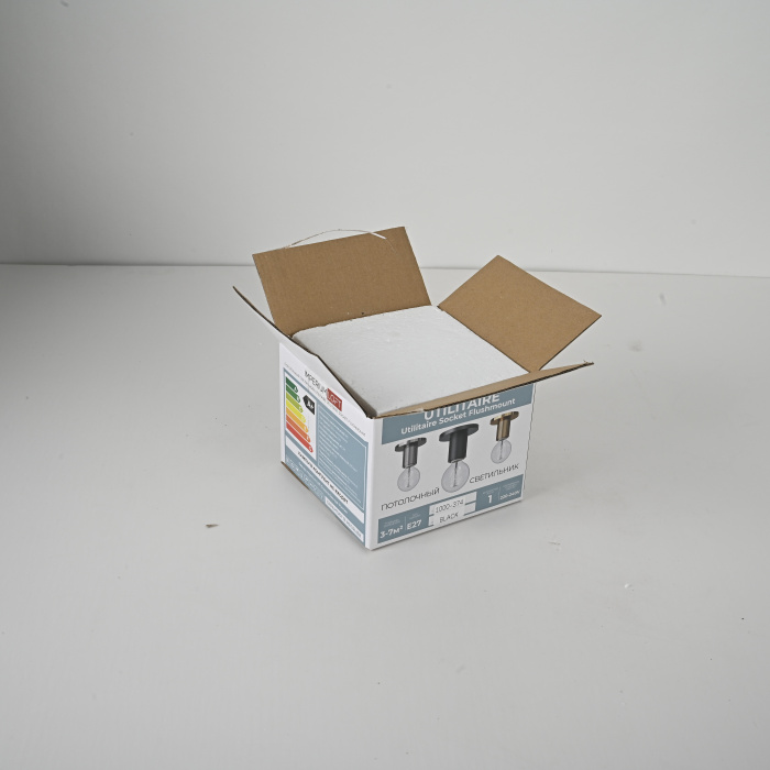 Потолочный светильник RH Utilitaire Socket Flushmount Black ImperiumLoft