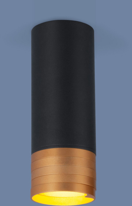 Накладной светильник Elektrostandard Dln102 4690389148774