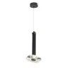 Подвесной светильник Delight Collection OD2553 OD2553-1A black/clear