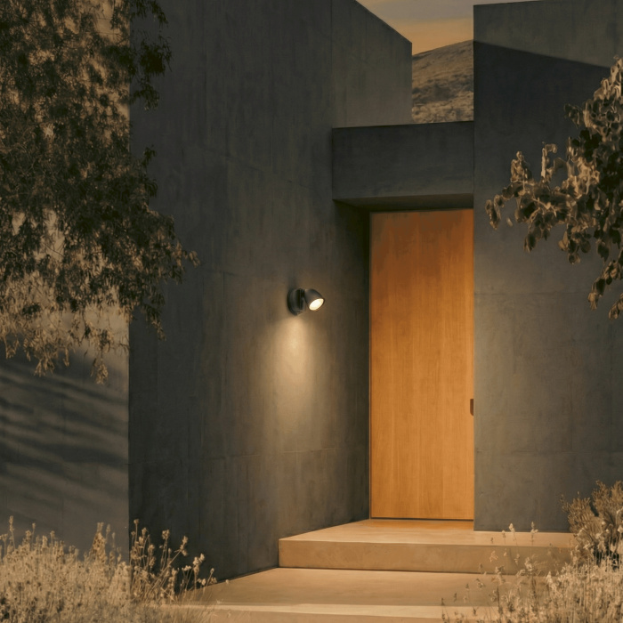 Светильник светодиодный уличный Diva Lightstar 374137