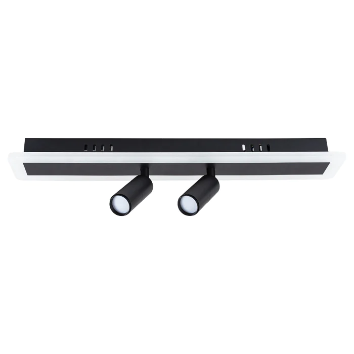 Светильник потолочный Arte Lamp TOMMY A2607PL-22BK