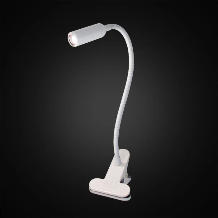 Лампа на прищепке Citilux Ньютон CL803060N
