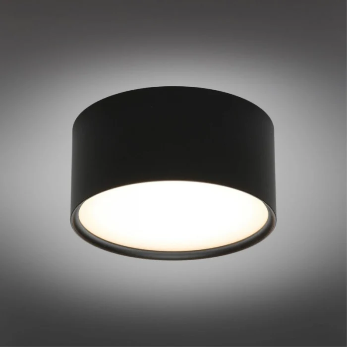 Светильник накладной Omnilux Abano OML-103319-12