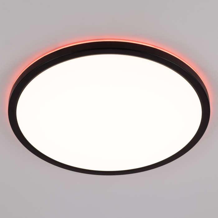 Светильник накладной Citilux Basic Line CL738321EL