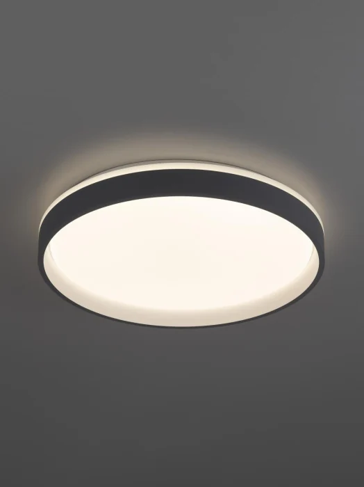 Потолочный светильник Citilux Enzo CL753453G
