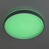 Потолочный светильник Citilux Enzo CL753453G