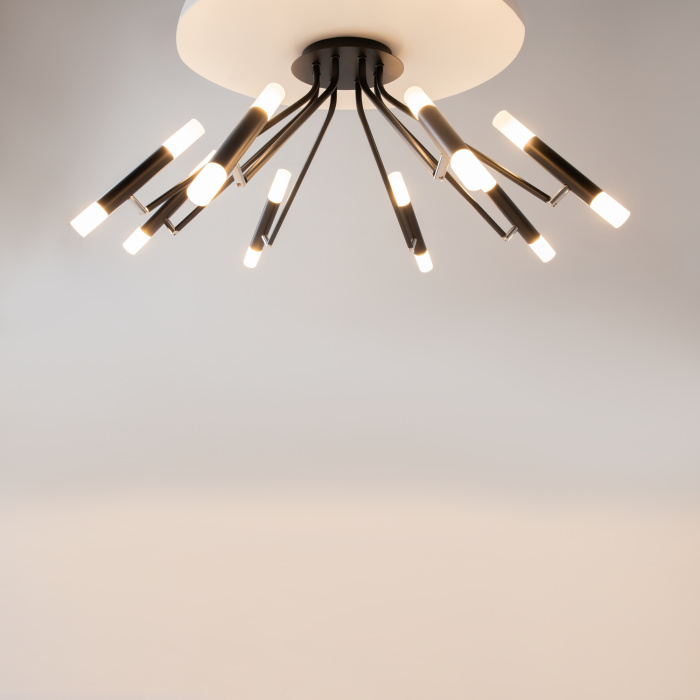 Накладная люстра Maytoni Vigo MOD620CL-16B