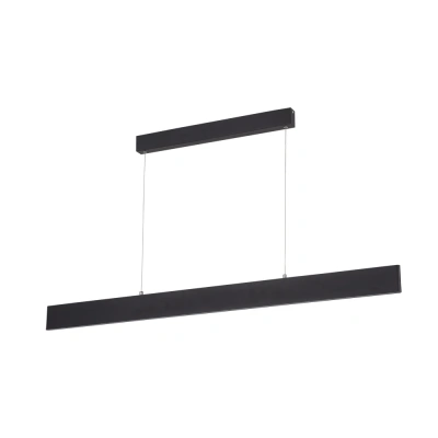 Подвесной светодиодный светильник Arte Lamp A2505SP-2BK