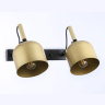 Настенно-потолочный спот Ambrella light TR97106