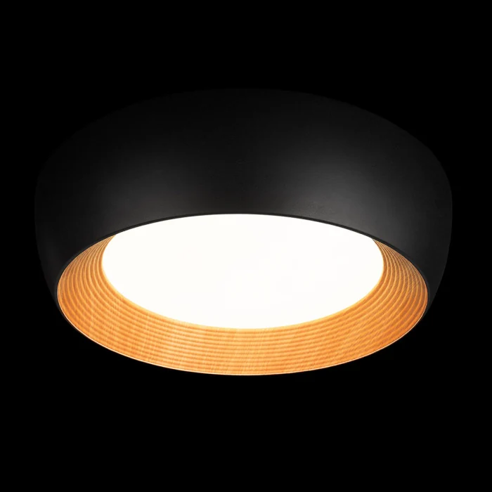 Потолочный светильник LOFT IT Folk 10255/500 Black