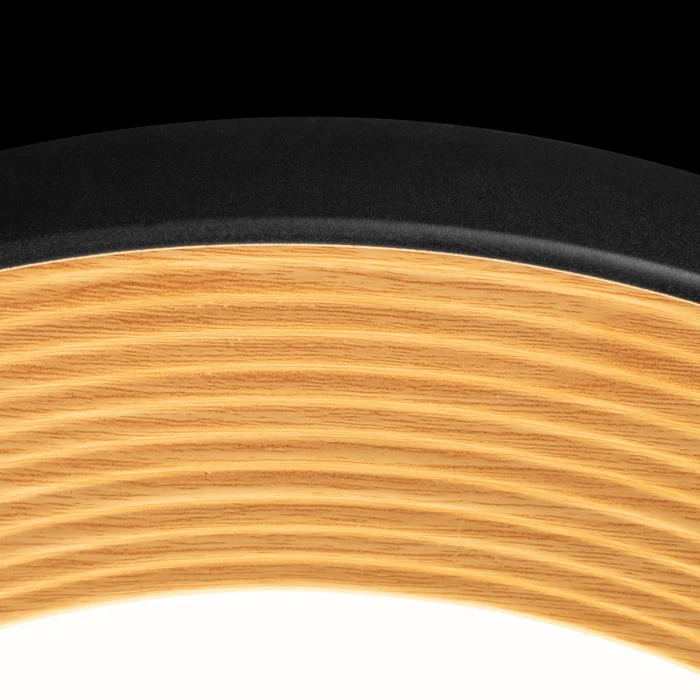 Потолочный светильник LOFT IT Folk 10255/500 Black