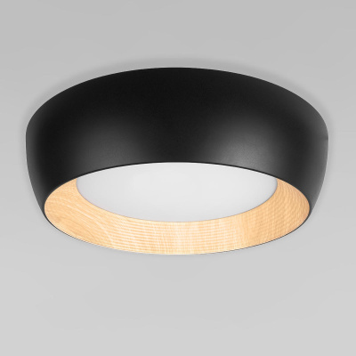 Потолочный светильник LOFT IT Folk 10255/500 Black