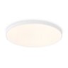 Потолочный светодиодный светильник Ambrella light FZ1221