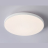 Потолочный светодиодный светильник Ambrella light FZ1221