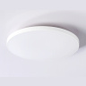 Потолочный светодиодный светильник Ambrella light FZ1221