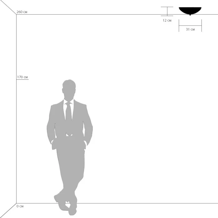 Накладной светильник ZUCCHE LIGHTSTAR 820234