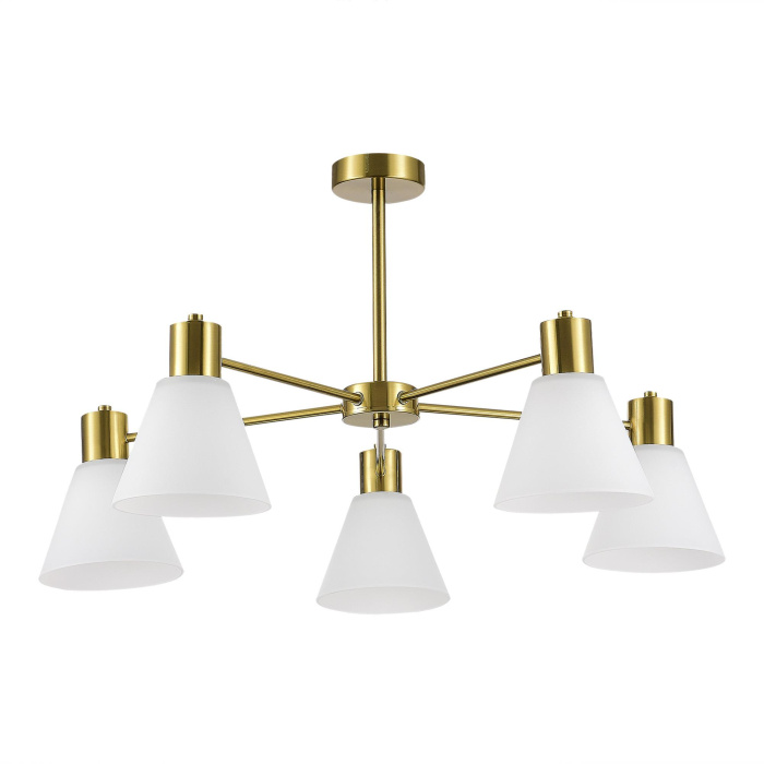 Потолочный светильник evoluce ARKI SLE1561-302-05