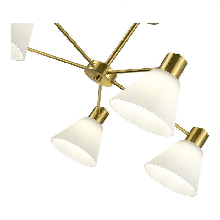 Потолочный светильник evoluce ARKI SLE1561-302-05