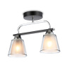 Потолочный светильник Ambrella light TR303231