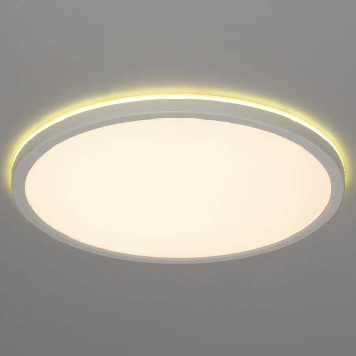 Светильник накладной Citilux Basic Line CL738320EL