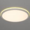 Светильник потолочный Citilux Basic Line CL738320EL