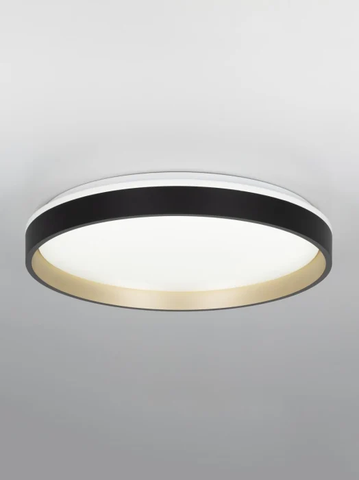 Потолочный светильник Citilux Enzo CL753451G