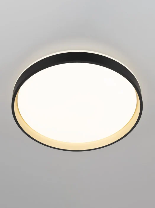 Потолочный светильник Citilux Enzo CL753451G