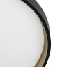 Потолочный светильник Citilux Enzo CL753451G