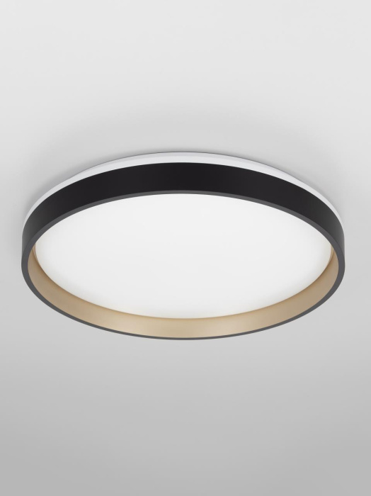 Потолочный светильник Citilux Enzo CL753451G