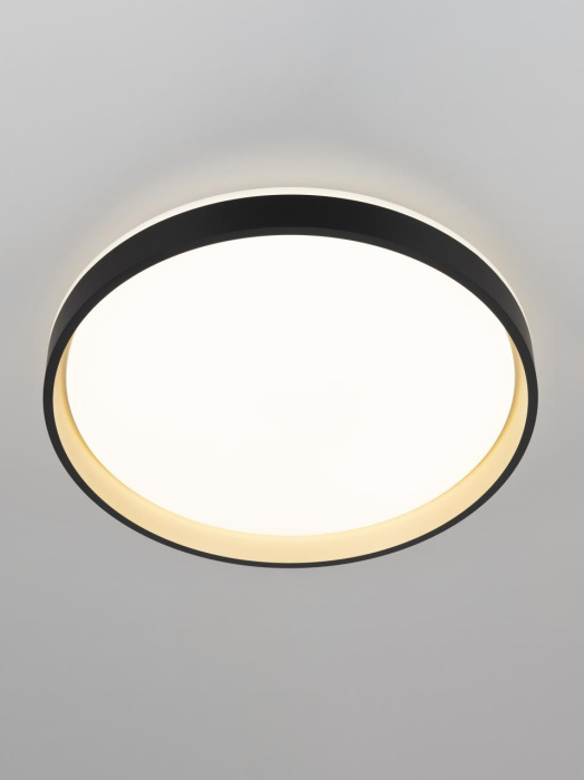 Потолочный светильник Citilux Enzo CL753451G