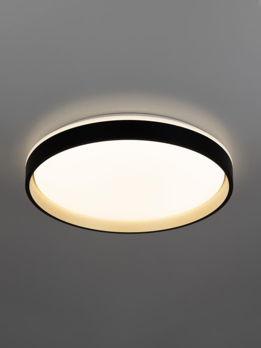 Потолочный светильник Citilux Enzo CL753451G