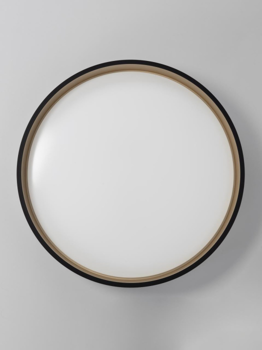 Потолочный светильник Citilux Enzo CL753451G