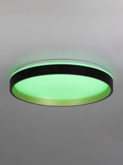 Потолочный светильник Citilux Enzo CL753451G
