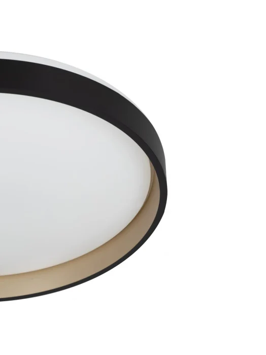 Потолочный светильник Citilux Enzo CL753451G