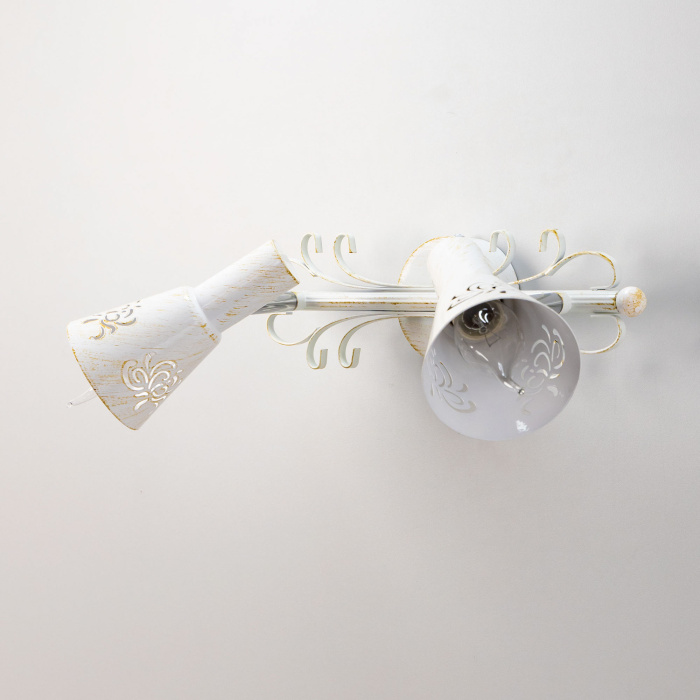 Спот поворотный Citilux Дункан CL529522