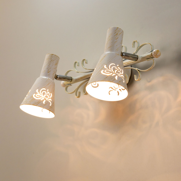 Спот поворотный Citilux Дункан CL529522