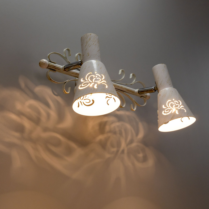 Спот поворотный Citilux Дункан CL529522