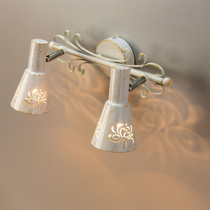 Спот поворотный Citilux Дункан CL529522