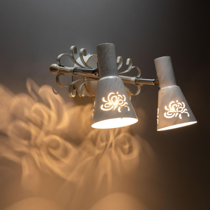 Спот поворотный Citilux Дункан CL529522