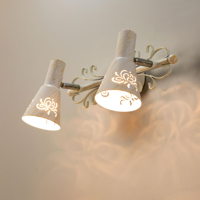 Спот поворотный Citilux Дункан CL529522