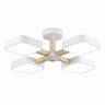Люстра светодиодная на штанге AMBRELLA light FL4879