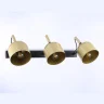Настенно-потолочный спот Ambrella light TR97109