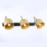 Настенно-потолочный спот Ambrella light TR97109