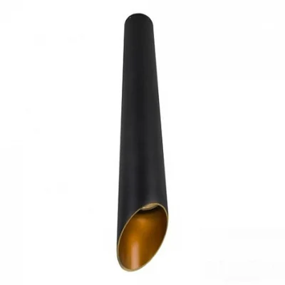 Потолочный светильник Arte Lamp Pilon-Gold A1537PL-1BK